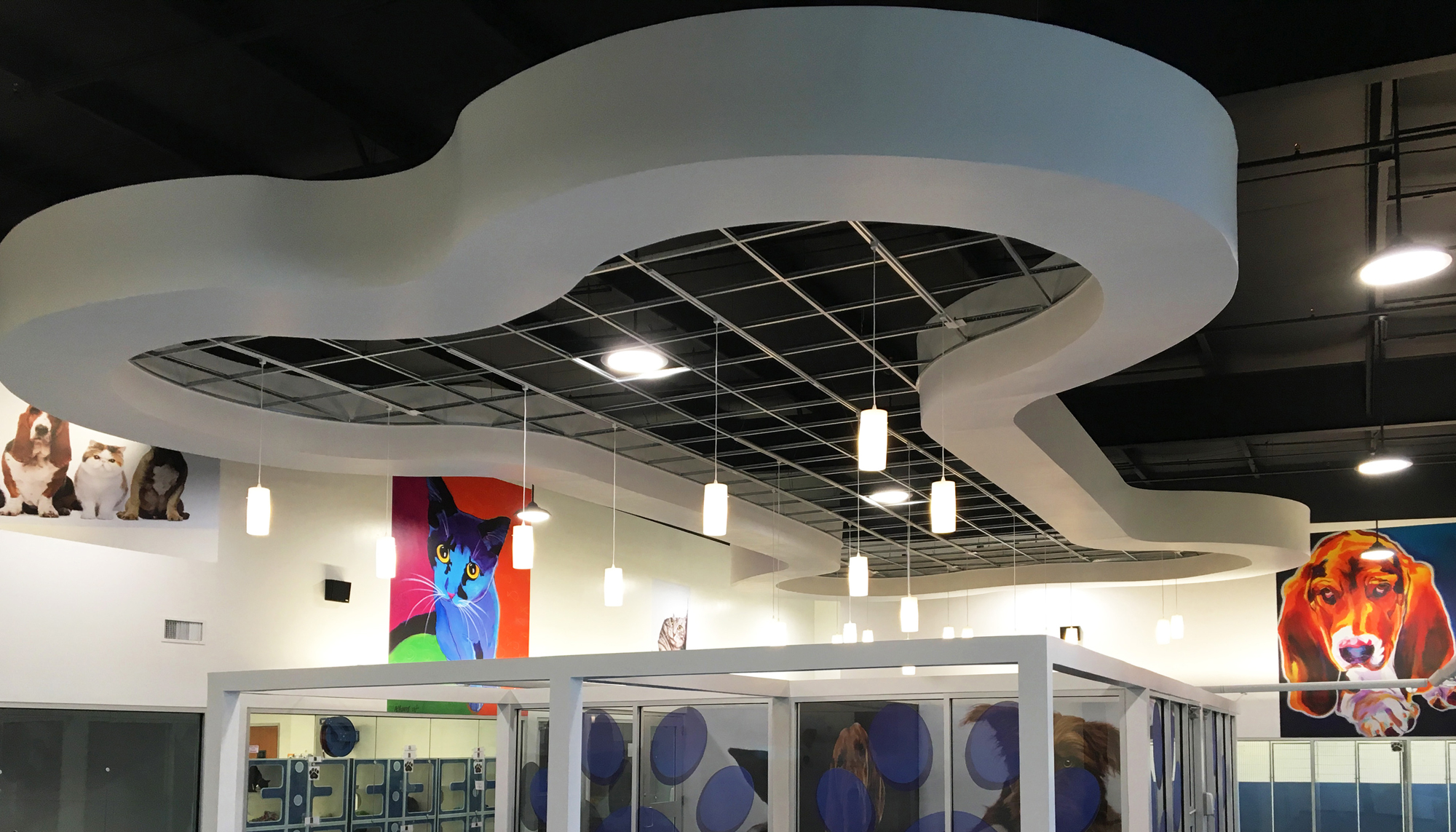Interior adoption and community space at the Laurie P. Andrews Paws Center featuring integrated animal care environments, welcoming architectural elements and coordinated facility design developed to support daily shelter operations and visitor engagement.