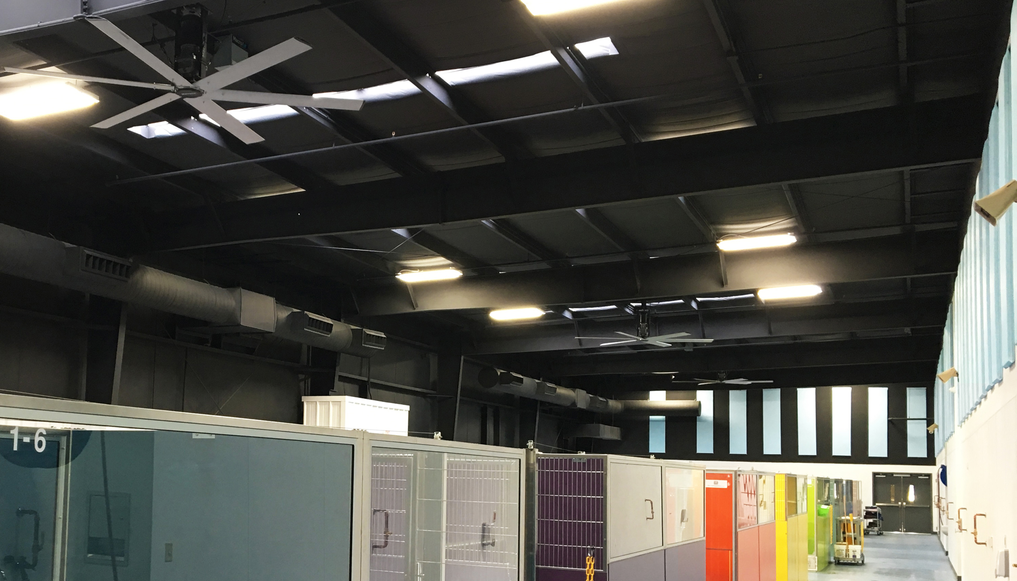 Interior animal housing area at the Laurie P. Andrews Paws Center featuring integrated kennel systems, coordinated ventilation and durable shelter environments designed to support efficient daily care operations and animal well-being.