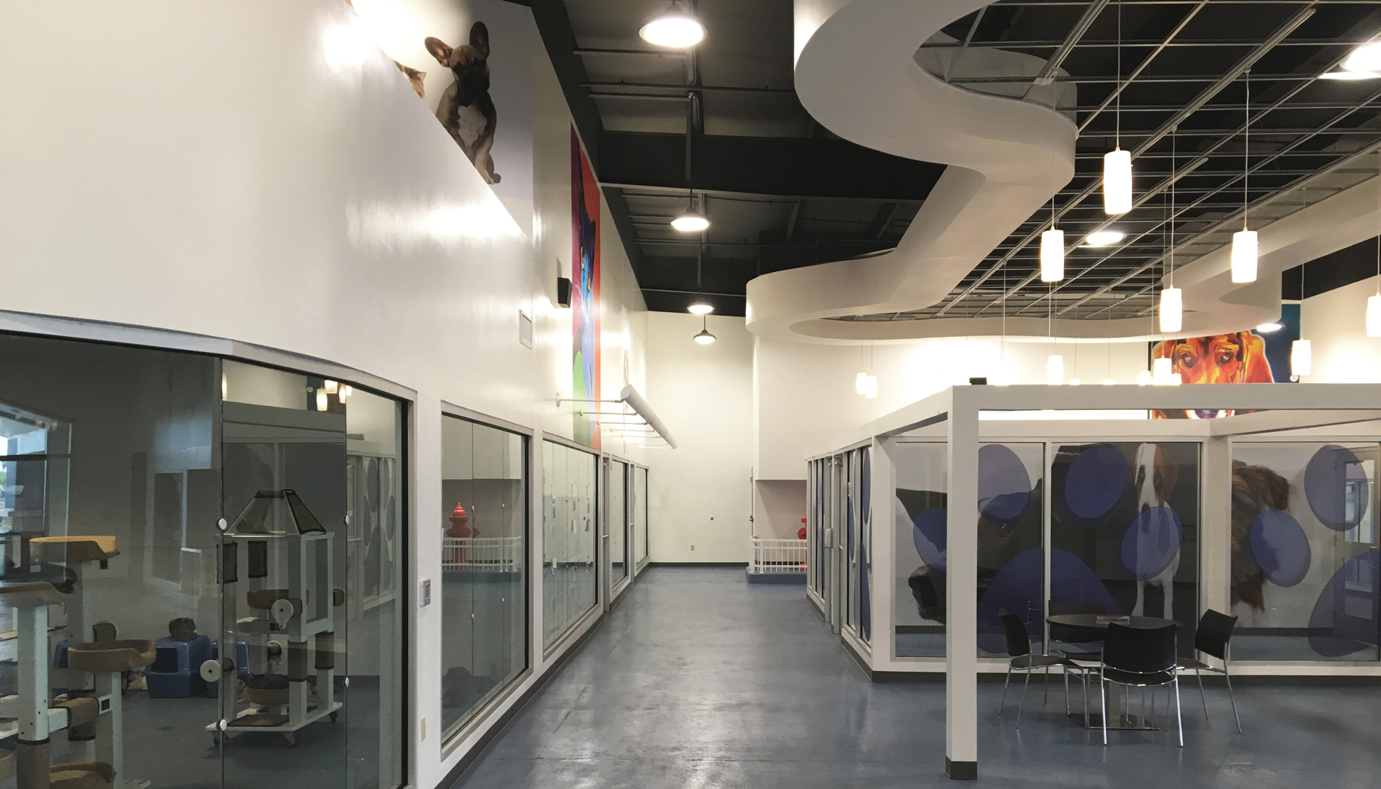 Interior adoption and circulation space at the Laurie P. Andrews Paws Center featuring integrated animal interaction areas, coordinated shelter operations and welcoming community environments designed to support care, intake and adoption activities.