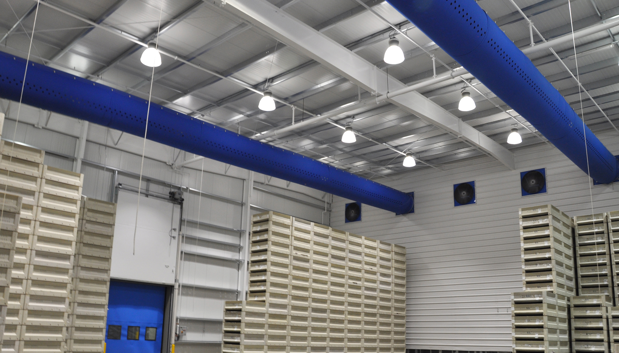 Interior cold storage and processing area at the Prima Frutta – Cherry Line #4 facility featuring integrated production systems, controlled environmental infrastructure and coordinated operational design developed to support evolving food processing needs and long-term flexibility.
