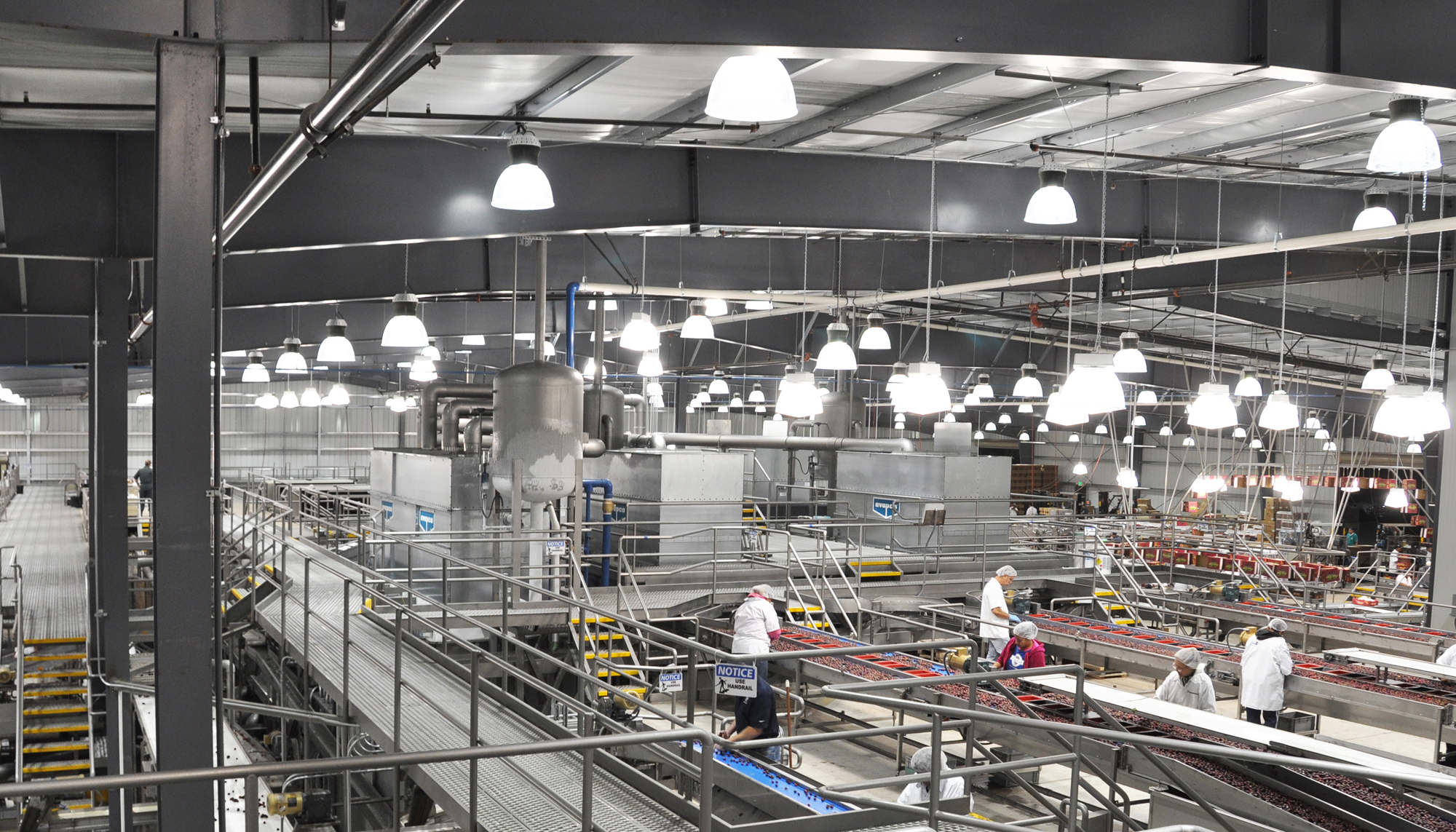 Interior food processing area at the Prima Frutta – Cherry Line #4 facility featuring integrated production lines, coordinated operational systems and adaptable industrial infrastructure designed to support evolving processing demands and efficient long-term operations.