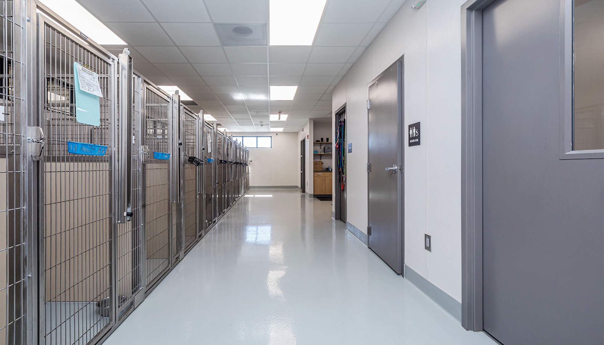 Interior animal care corridor at the Almost Home Wellness Center featuring integrated kennel systems, coordinated clinical access and a veterinary environment designed to support efficient operations and animal safety.