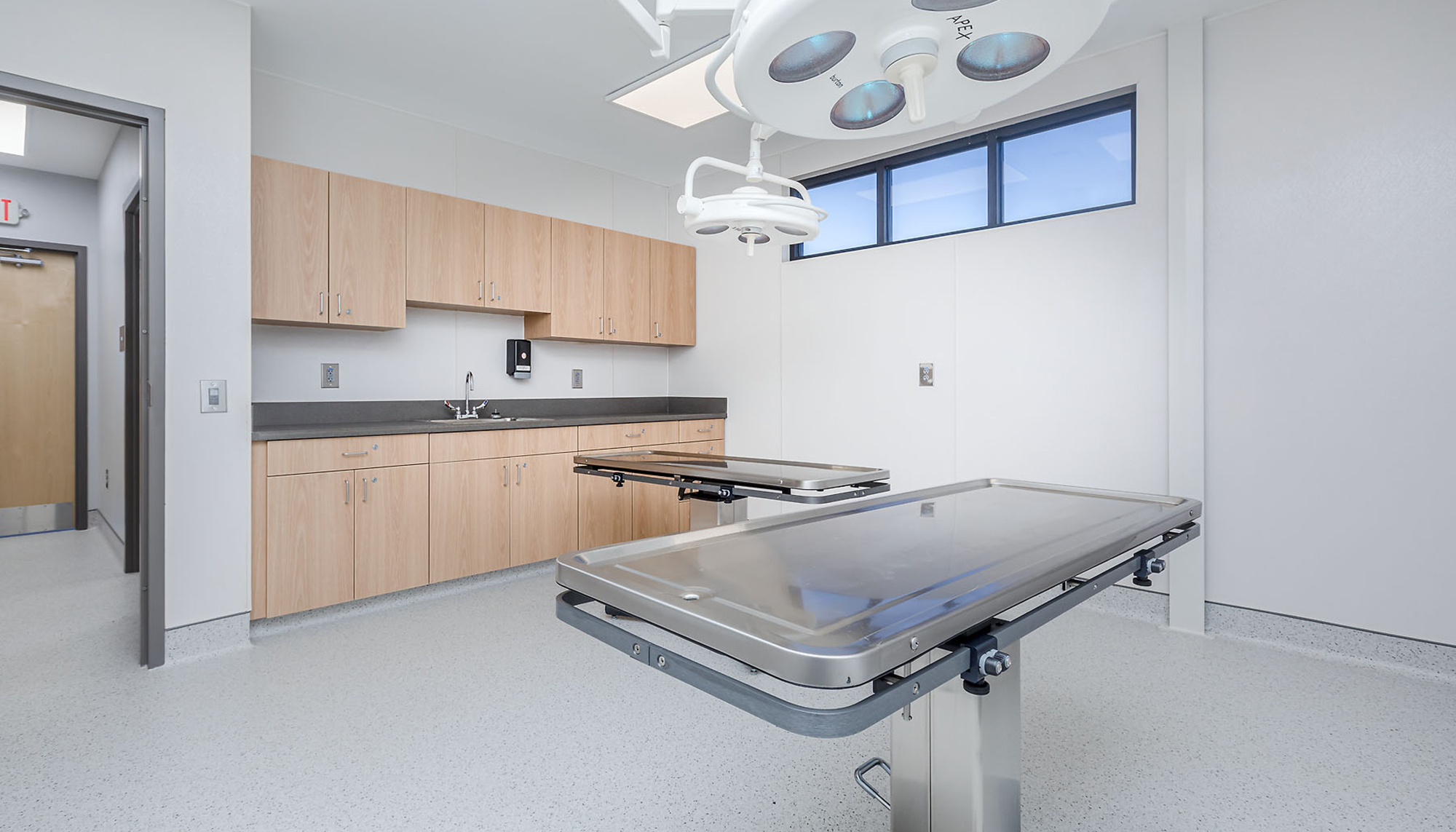Interior veterinary treatment room at the Almost Home Wellness Center featuring integrated medical equipment, clinical workspace coordination and a specialized care environment designed to support animal health and operational efficiency.