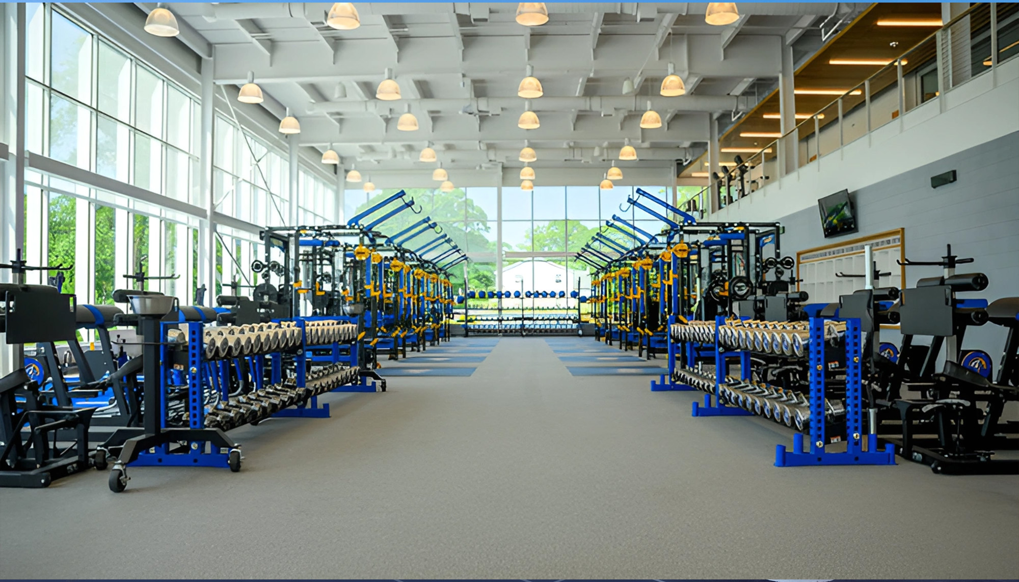 Athletic training facility featuring strength and conditioning equipment, curtain wall glazing and steel building recreation center design.
